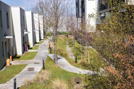 Coordonner eaux pluviales et urbanisme, pour des territoires plus résilients